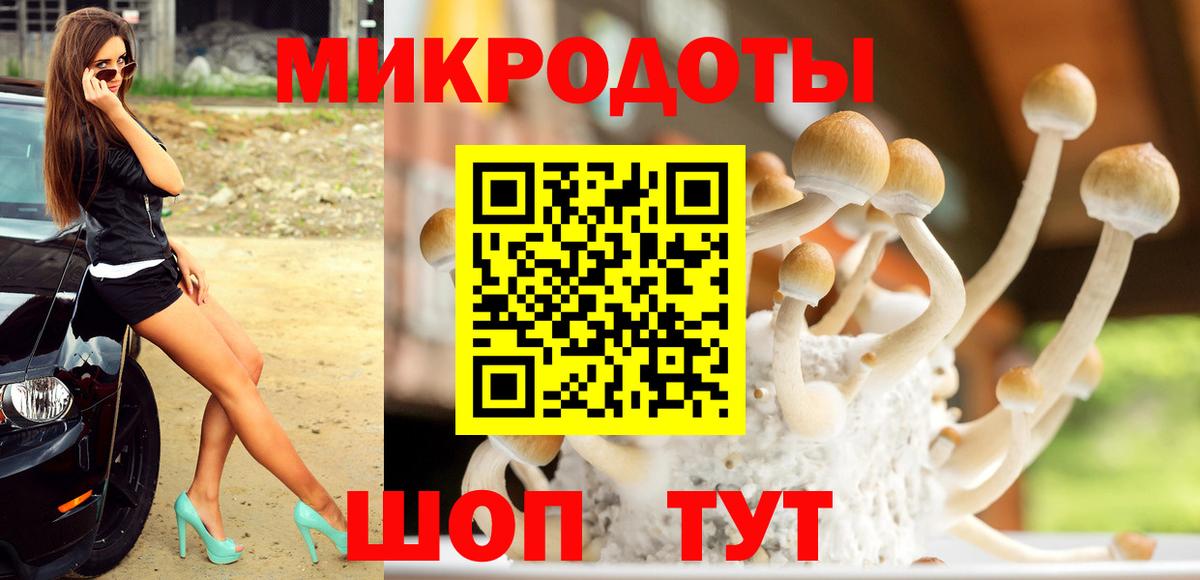 Галлюциногенные грибы MAGIC MUSHROOMS Корсаков