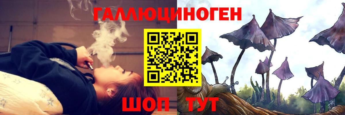 Псилоцибиновые грибы Cubensis  Псилоцибиновые грибы Psilocybine cubensis  Вход с VPN  Корсаков 